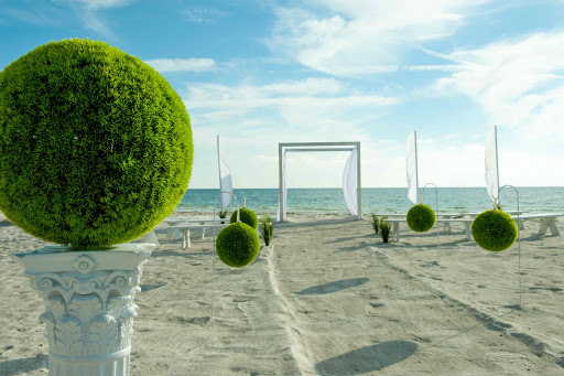 Wedding Venue «Florida Gulf Beach Weddings», reviews and photos, 6655 Gulf Blvd, St Pete Beach, FL 33706, USA