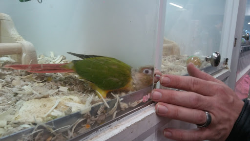 Pet Store «Fins Feathers Paws Claws», reviews and photos, 201 Station Rd, Quakertown, PA 18951, USA