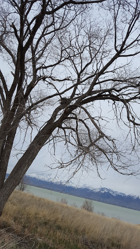 Golf Club «TalonsCove Golf Club», reviews and photos, 2220 S TalonsCove Dr, Saratoga Springs, UT 84045, USA