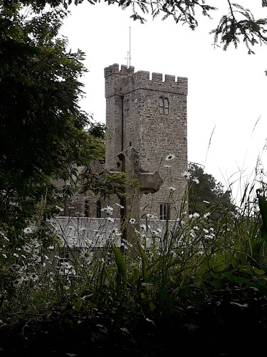 Comments and reviews of St Issell's Parish Church