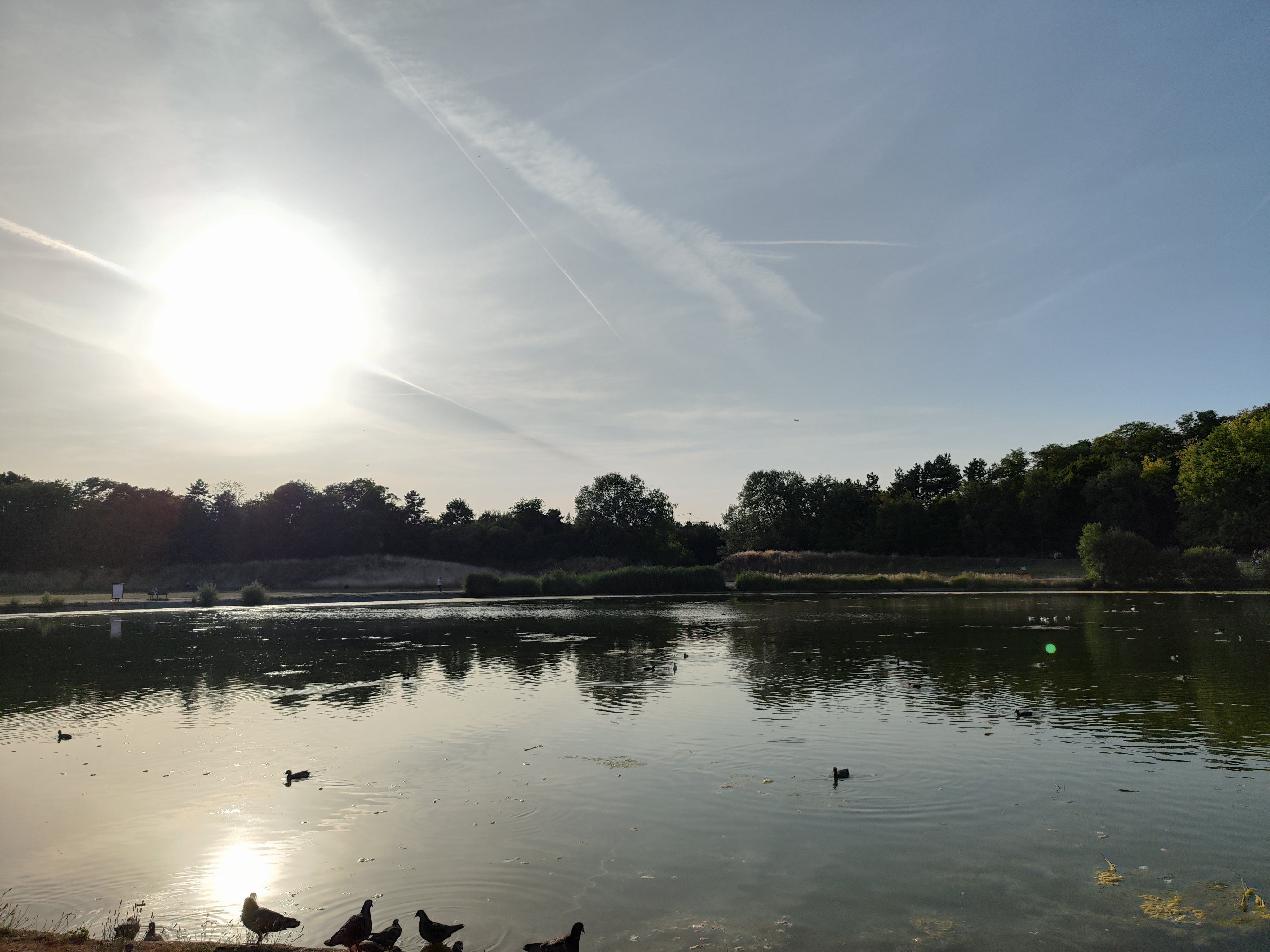 Photo n° 1 de l'avis de Google.u fait le 25/07/2022 à 16:53