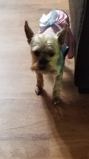 Pet Supply Store «Petco Animal Supplies», reviews and photos, 4665 Garth Rd #400, Baytown, TX 77521, USA