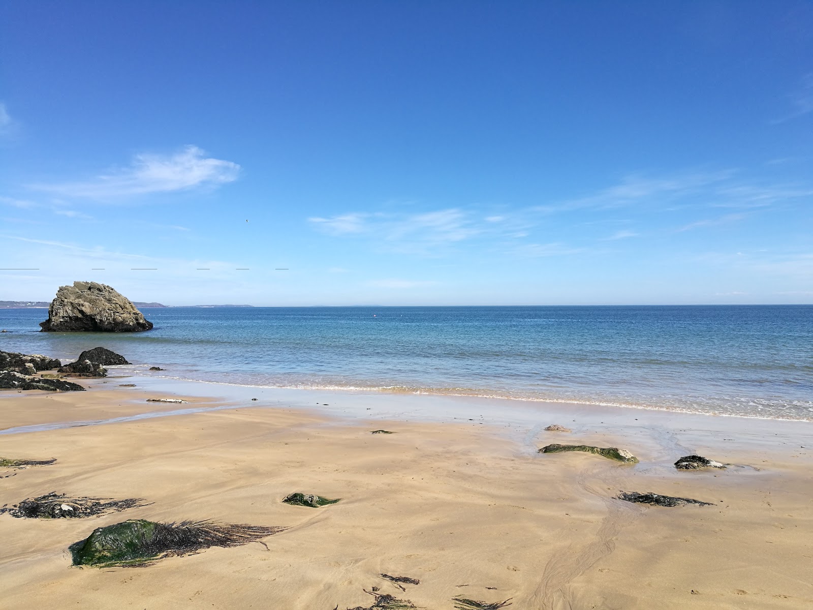 Photo de Barafundle Bay beach situé dans une zone naturelle