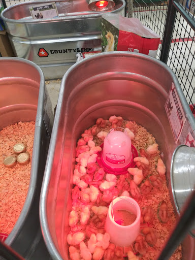 Home Improvement Store «Tractor Supply Co.», reviews and photos, 35874 US-27, Haines City, FL 33844, USA