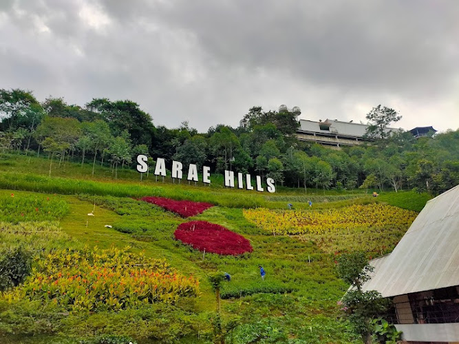 Sarae Hills