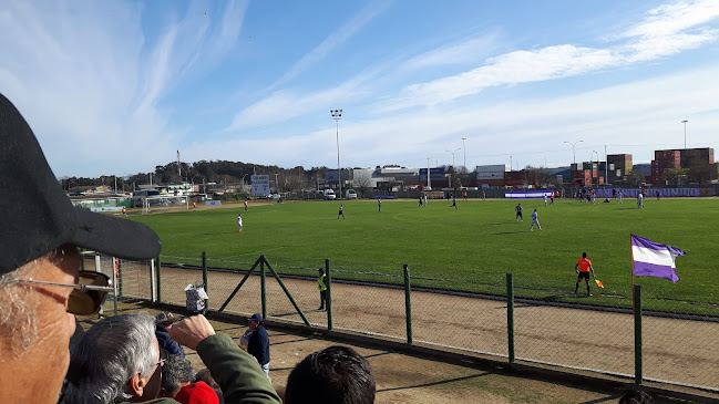 Estadio Municipal Doctor Olegario Henriquez Escalante