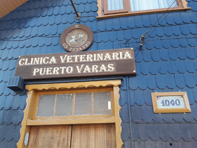 Opiniones de Clinica Veterinaria Puerto Varas en Puerto Varas - Veterinario