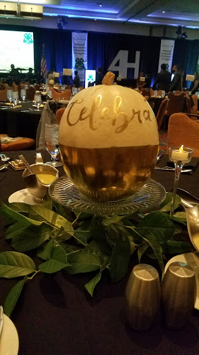 Hotel «JW Marriott Indianapolis», reviews and photos, 10 S West St, Indianapolis, IN 46204, USA