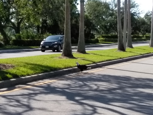 Recreation Center «Wa-Ke Hatchee Park Recreation Center», reviews and photos, 16760 Bass Rd, Fort Myers, FL 33908, USA