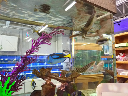 Pet Store «The Pet Zone», reviews and photos, 20 W Oak St, Pittston, PA 18640, USA