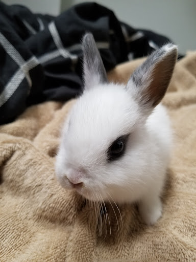 Pet Store «Pet World Ltd», reviews and photos, 14501 Warwick Blvd, Newport News, VA 23608, USA