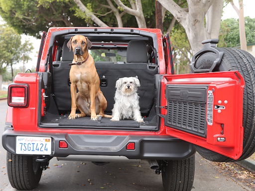 Transmission Shop «AAMCO Transmissions & Total Car Care», reviews and photos, 1301 W Memorial Blvd, Lakeland, FL 33815, USA