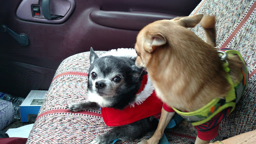 Southwood Animal Hospital image