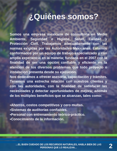 QEHS Testing & Services De México, S.A. De C.V.