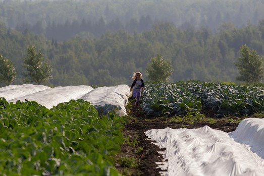 Ferme Croque-Saisons