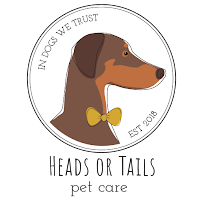 Heads or Tails Pet Care - Photo 6 - Car repair in Charlotte, NC, Charlotte