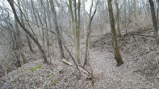 Nature Preserve «Knute Olson, Jr. Forest Preserve», reviews and photos, 12595 Base Line Rd, Kingston, IL 60145, USA