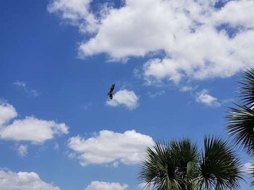 Golf Club «Raptor Bay Golf Club», reviews and photos, 23001 Coconut Point Resort Dr, Estero, FL 33928, USA