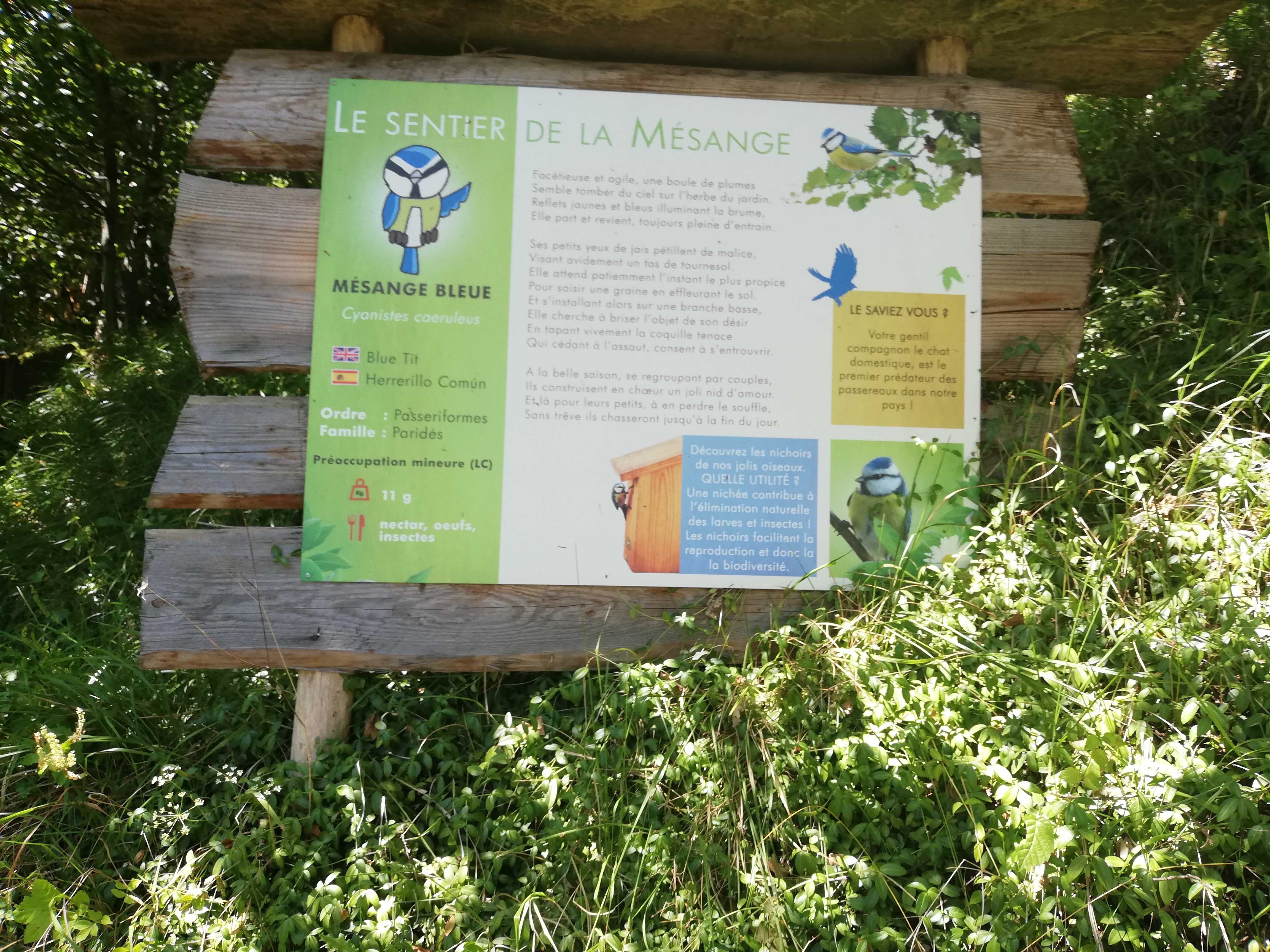 Photo n° 39 de l'avis de Soleil. fait le 20/08/2020 à 12:36