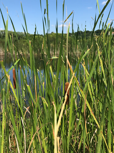 Golf Course «Waterchase Golf Club», reviews and photos, 8951 Creek Run Rd, Fort Worth, TX 76120, USA