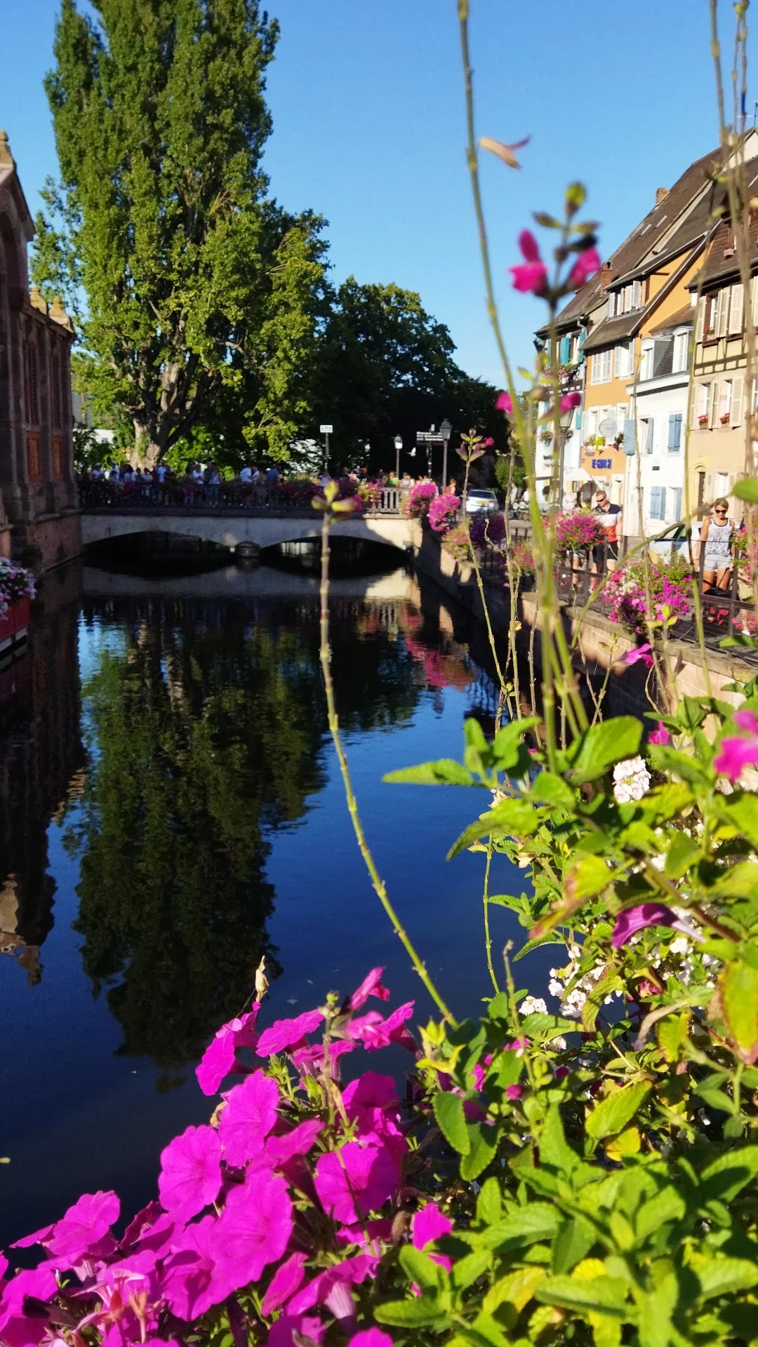 Photo n° 14 de l'avis de Edicions.e fait le 18/08/2022 à 19:38