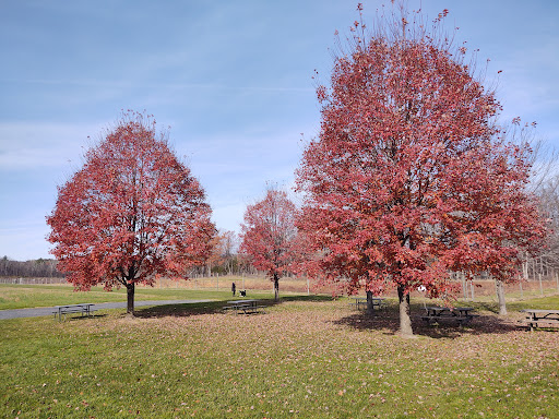 Produce Market «Saunderskill Farms», reviews and photos, 5100 US-209, Accord, NY 12404, USA