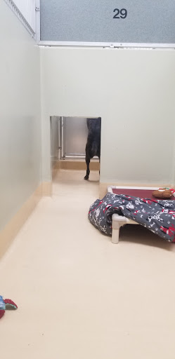Animal Shelter «Oregon Humane Society», reviews and photos