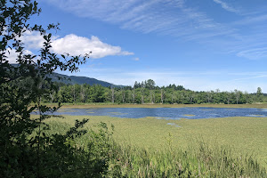 Buttertubs Marsh Park