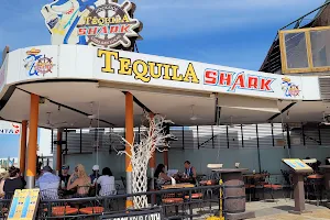 Tequila Shark GastroBar image