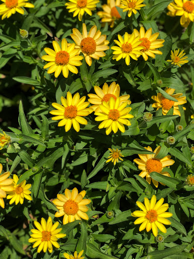 Observatory «Community Observatory», reviews and photos, 6699 Campus Dr, Placerville, CA 95667, USA