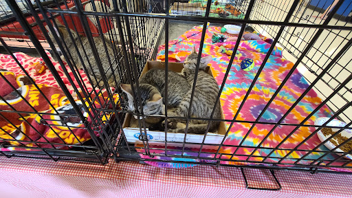 Pet Supply Store «PetSmart», reviews and photos, 1421 Carl D Silver Parkway, Fredericksburg, VA 22401, USA