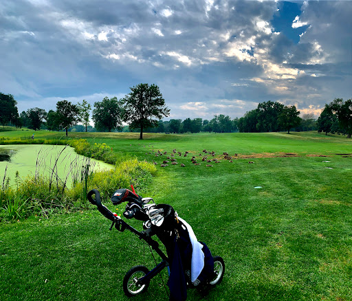 Public Golf Course «Meadowbrook Golf Course», reviews and photos, 201 Meadowbrook Rd, Hopkins, MN 55343, USA