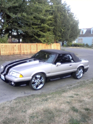 Auto Body Shop «American Auto Painting & Body», reviews and photos, 310 Factory Pl N, Renton, WA 98057, USA