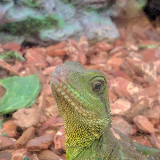 Pet Supply Store «Petco Animal Supplies», reviews and photos, 911 N Stratford Rd c, Moses Lake, WA 98837, USA