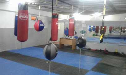 GYM BOXING CLUB CENTRAL