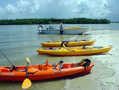 Everglades Boat Tours