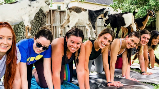 Goat Yoga Houston