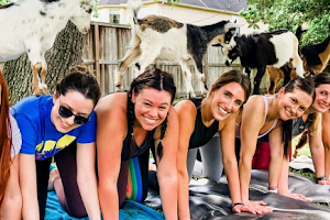 Goat Yoga Houston image