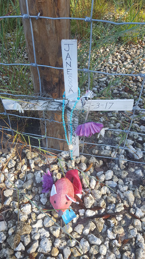 Nature Preserve «Triple Creek Nature Preserve», reviews and photos, 13112 Balm Boyette Rd, Riverview, FL 33579, USA