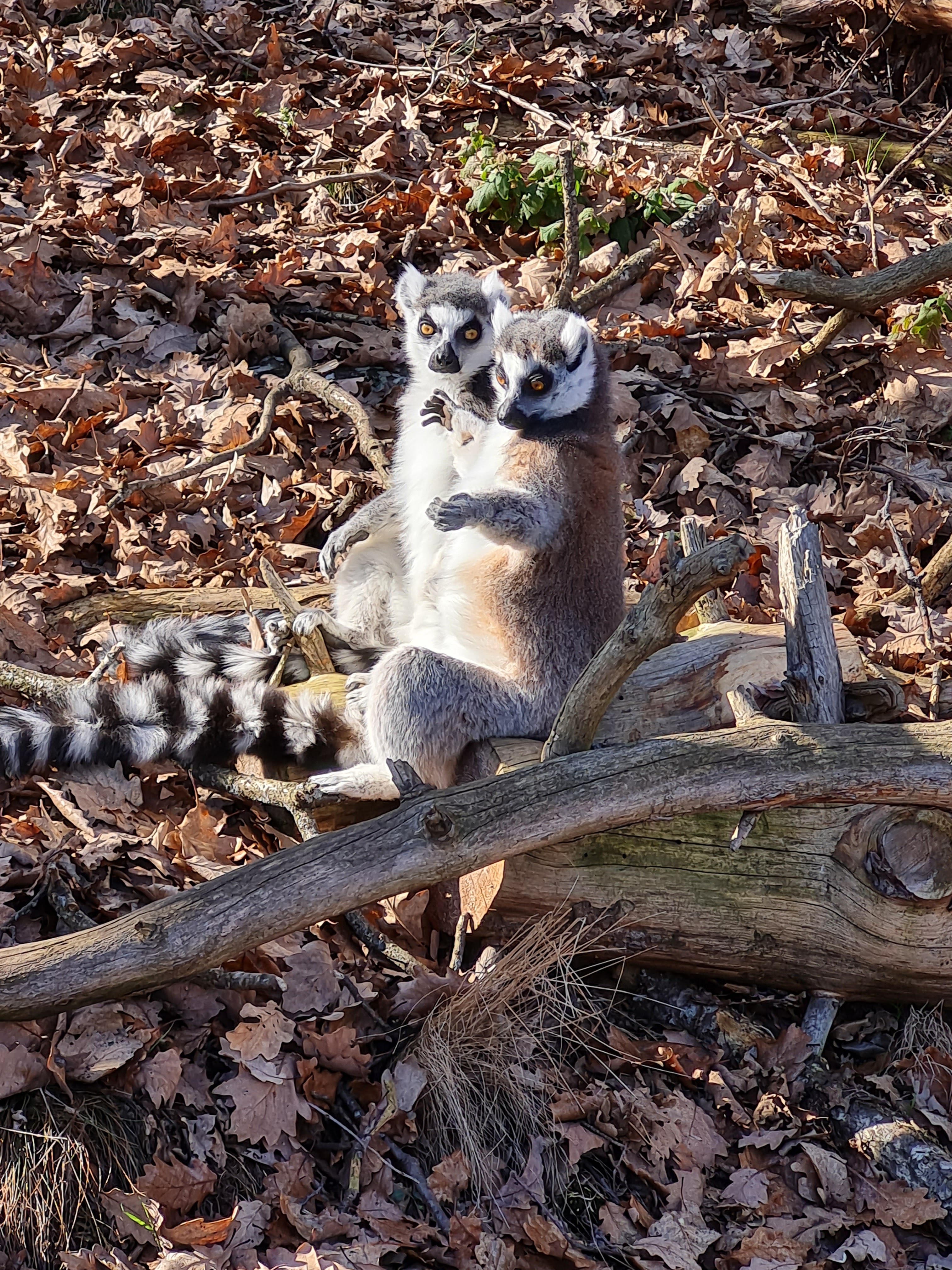 Photo n° 6 de l'avis de Dominique.g fait le 30/08/2020 à 15:46
