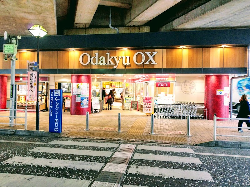 Odakyu OX 大和店