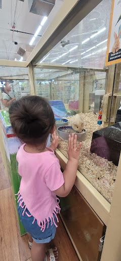 Pet Supply Store «Pet Supermarket, Inc.», reviews and photos, 598 N McCarran Blvd, Sparks, NV 89431, USA