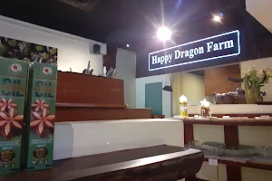 Happy Dragon Farm image