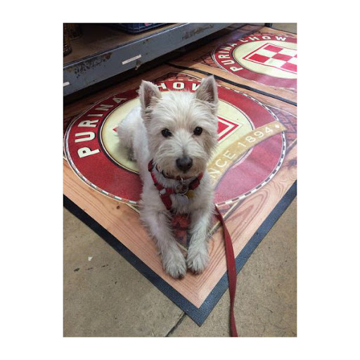 locke hill feed pet & lawn supply