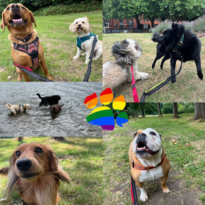 Rainbow Paws - Dog Walking & Pet Services
