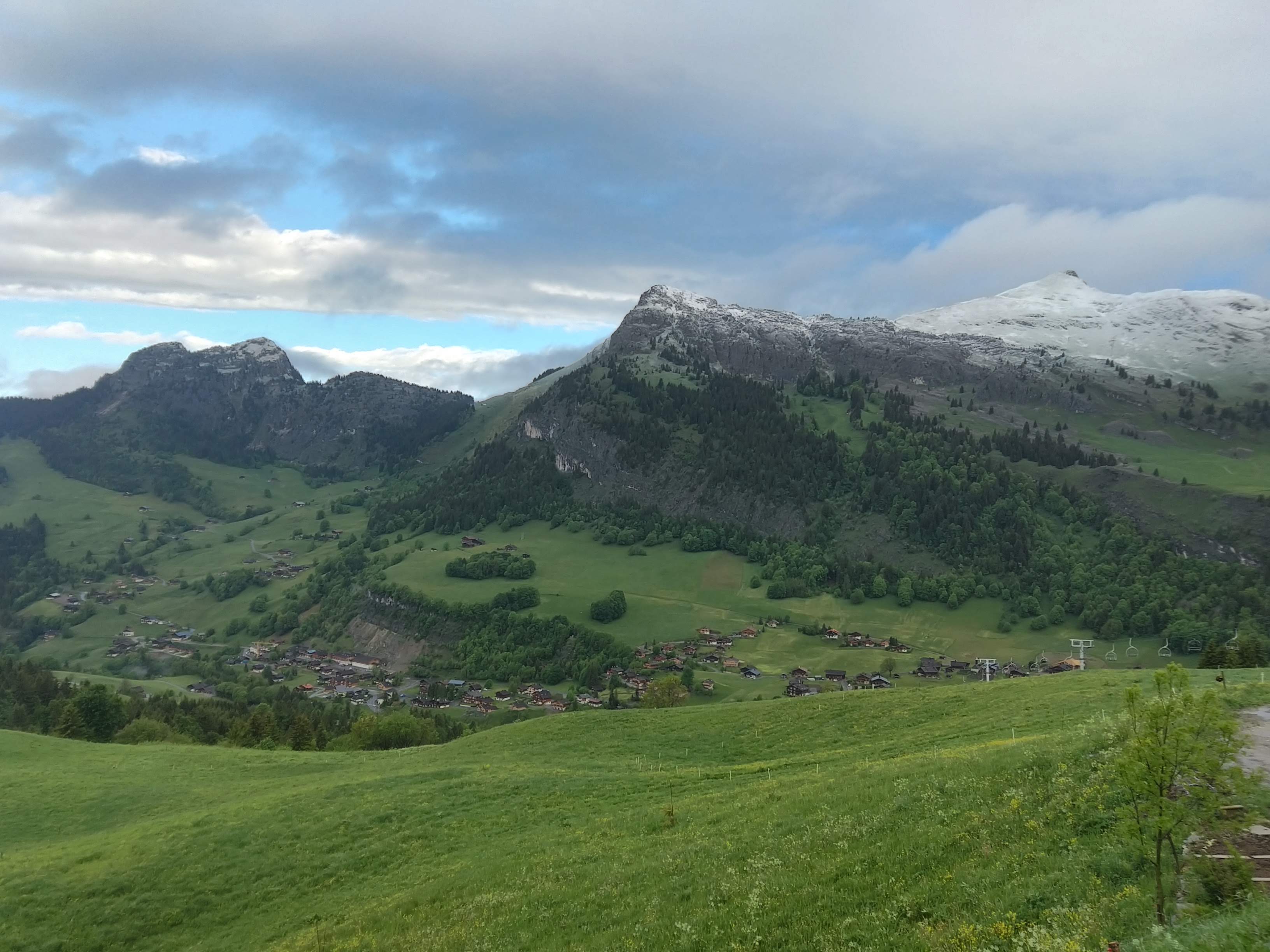Photo n° 1 de l'avis de Chambon.e fait le 12/06/2019 à 19:17