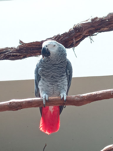 Aquarium «Toledo Zoo Aquarium», reviews and photos, 2700 Broadway St, Toledo, OH 43609, USA