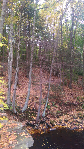 Golf Course «Quarry Ridge Golf Course, INC», reviews and photos, 9 Rose Hill Rd, Portland, CT 06480, USA