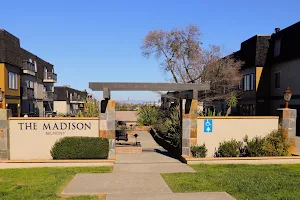 The Madison Belmont Apartments image
