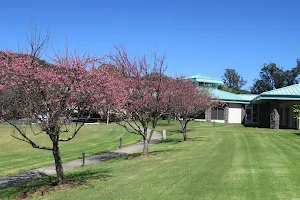 Queen's North Hawai'i Community Hospital image